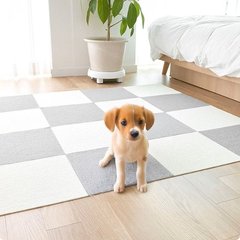 펫트리움 강아지 고양이 미끄럼방지매트 10P 4colors